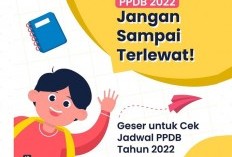 Catat, ini Link Pendaftaran PPDB PKBM Tahap 2 Tahun 2022 DKI Jakarta