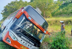 Tragis! 7 Orang Tewas Dalam Kecelakaan Bus Rosalia Indah di Tol Pemalang-Batang