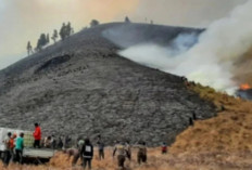 Tersangka Wisatawan Pembakar Hutan di Bromo, Dipenjara Maksimal 5 tahun dan Denda Sebanyak Rp 1,5 Miliar!