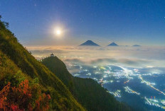 Mau Mendaki Gunung Andong Via Jalur Pendem? Cek Dulu Harga Tiketnya