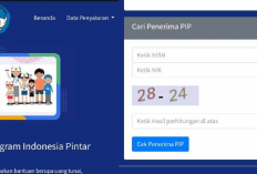 Begini Cara Mudah Cek PIP Tahun 2024 Secara Online, Modal Kuota Beres!