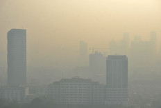 Waduh, Kabut dan Pencemaran Udara: Jakarta Tercatat sebagai Kota Paling Berpolusi di Dunia!