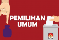 Kenapa Pemlu Wajib Ada di Sebuah Negara? Ternyata Ini Alasannya