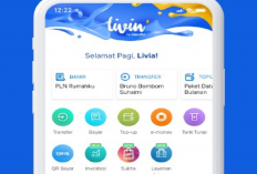 Nonton Bioskop XXI Libur Nataru Bisa Dapatkan Cashback 100 Persen Pakai Livin Mandiri