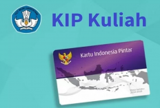 Bisa Kok Daftar KIP Kuliah Sendiri, Asal Semua Pesyaratan Ini Terpenuhi