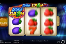 Begini Cara Main Game Wild Cash Demi Raup Cuan Gratis