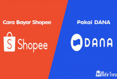 Banyak Banget yang Belum Tahu! Begini Cara Pindahkan Uang Digital dari Shopeepay ke DANA!