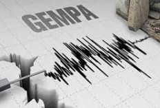 BMKG Melaporkan Adanya Gempa Bumi di Pangandaran M 4,6: Tak Berpotensi Tsunami