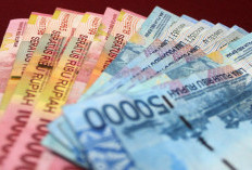 Mau Limit GoPay Pinjam Tambah Besar? Lakukan 5 Tips Ini Dulu