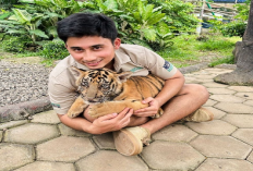 Alshad Ahmad Membantah Tuduhan atas Kematian Bayi Harimau Peliharaannya! Ancam Akan Laporkan dengan UU ITE!