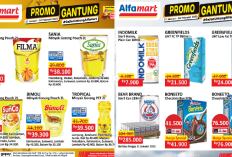 Katalog Promo Alfamart Hari Ini: Minyak Goreng Bimoli Pouch 2L Rp39.300!