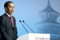 Blak-Blakan, Nicko Silalahi Sindir Presiden Jokowi Pembohong dan Istana Sarang Hoax, Terkait Ralat Janji Biaya IKN Baru? 