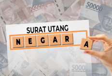 Ajaib! Utang Luar Negeri RI Tiba-Tiba Turun, Bank Indonesia: 'Struktur Tetap Sehat'