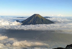 Akibat Kebakaran di Gunung Sumbing Semua Jalur Pendakian Ditutup