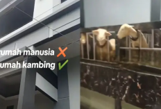 Viral Rumah Mewah Kambing di Batur Jateng, Netizen Meringis: Rumah Gue Kalah Bagus!