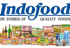 Buruan! PT Indofood Buka Banyak Lowongan Terbuka untuk Fresh Graduate