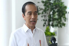 Politik Makin Kirsuh, DPR Menolak Keputusan MK, Jokowi : Itu Biasa