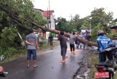 Pasca 6 Desa di Kabupaten Madiun Diterjang Angin Kencang, Puluhan Rumah Mengalami Kerusakan Parah