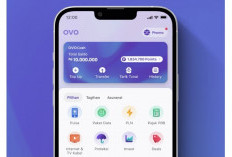 MUDAH! Begini Cara Transfer Saldo OVO Ke Dana, Anti Gagal Bos