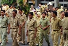 Ini Upaya Penghapusan Tenaga Honorer yang Sempat Tertunda!