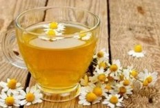 Tips Jaga Kesehatan: Rajin Minum Teh Chamomile, Berkhasiat Cegah Beragam Penyakit Mematikan, Salah Satunya Jantung!