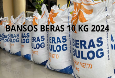 Mau Dapat Beras Sebanyak 10 Kg? Begini Cara Daftarkan Diri Kalian