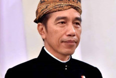 Ini 5 Tokoh yang Dianugerahkan Gelar Pahlawan Oleh Presiden Jokowi