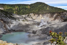 7 Wisata Alam di Lembang, Dijamin Bikin Sejuk  dan Memanjakan Mata