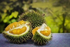 Gas Elpiji Bau Duren? Ini Alasan nya