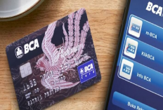 Bisa Online! Begini Cara Bikin Kartu Kredit Bank BCA dengan Simpel