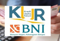 Jadwal Pembukaan KUR BNI Tahun 2025