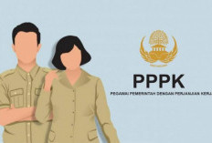 Begini Cara Ngecek Pengumuman Seleksi Administrasi PPPK Guru 2023, Namamu Masuk?