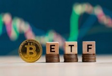 Perbandingan ETF Bitcoin dan ETF Ethereum, Mana yang Lebih Unggul?