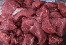 'Haram' Hukumnya Orang Kaya Menerima Daging Qurban? Begini Ketentuan Pembagian yang Benar