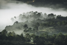 Spiritualis Ki Sabda Langit Ramal Dunia Akan Mengalami Fase 'Matinya Bumi', 3 Hal Ini yang Menjadi Penyebabnya!