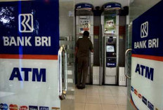 AWAS! Tak Ada Ganti Rugi dari Bank BRI Jika Uang Rp 1,5 M Hilang Gegara Penipuan Online