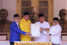 Ada 'Cawe-Cawe' Jokowi di Balik Manuver PAN dan Golkar ke Prabowo? Ini Kata Gerindra