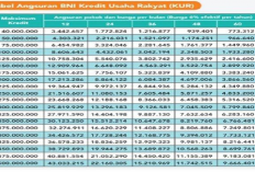 Tips Ajukan KUR BNI 2024, Bisa Dicicil Sampai 5 Tahun Dengan Plafon Hingga Rp 500 Juta