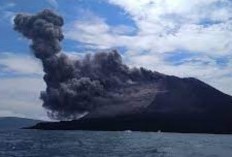 Gunung Anak Krakatau Kembali Terjadi Peningkatan Guncangan