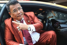 Soal Ancaman UU ITE terhadap Rocky Gerung, Hotman Paris: Presiden Harus Melapor