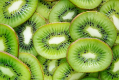 Fakta! Buah Kiwi Bisa Bikin Mental Sehat, Ini Penjelasannya