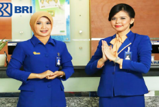 Bank BRI Buka Lowongan Kerja Posisi Teller, Fresh Graduate Bisa Melamar!