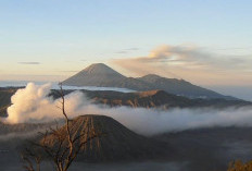 Update! Kawasan Gunung Bromo Dilanda Kebakaran, Tapi Akses Wisatawan Belum Ditutup