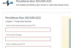 Link Terbaru CPNS 2024 dan Syarat Pendaftaran juga Formasi CPNS 2024