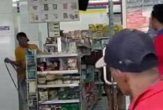 Kisah Unik IdulAdha! Kejadian Sapi Mengamuk Masuk Minimarket di Malingping, Banten