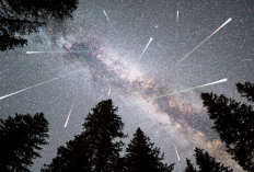 Wow! Puncak Hujan Meteor Orionid Bisa Dinikmati di Indonesia, Yuk Catat Jadwalnya