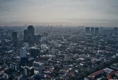 Pemprov DKI Jakarta Segera Luncurkan 100 Bus Listrik untuk Tekan Polusi Udara yang Kian Meningkat