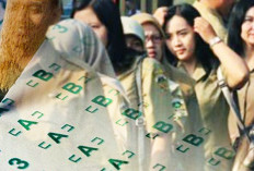 Pendaftaran Seleksi CPNS 2023 Diundur: Berikut Jadwal Terbarunya