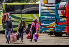 Mudik Gratis Nataru 2024 dari Kemenhub ke Seluruh Pulau Jawa, Begini Cara Daftarnya