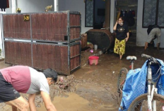 5 Langkah Cepat Hilangkan Bau Air Banjir di Rumah